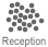 reception size